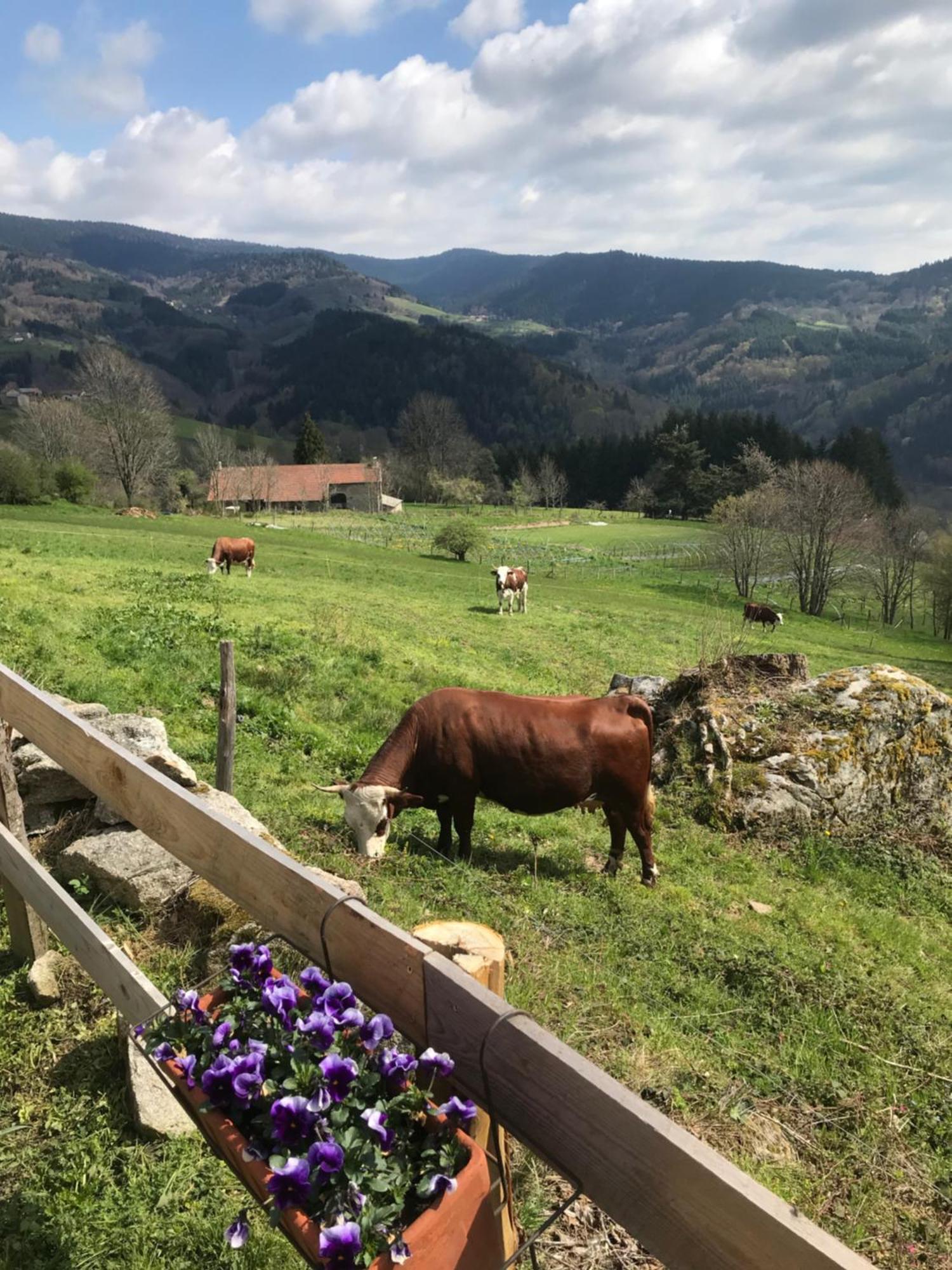 La Source D'En Haut Valcivieres Exterior foto
